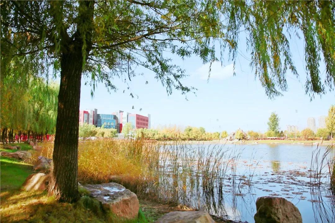 辽宁中医药大学杏林学院有独卫吗,辽宁中医药大学杏林学院属于3+2吗