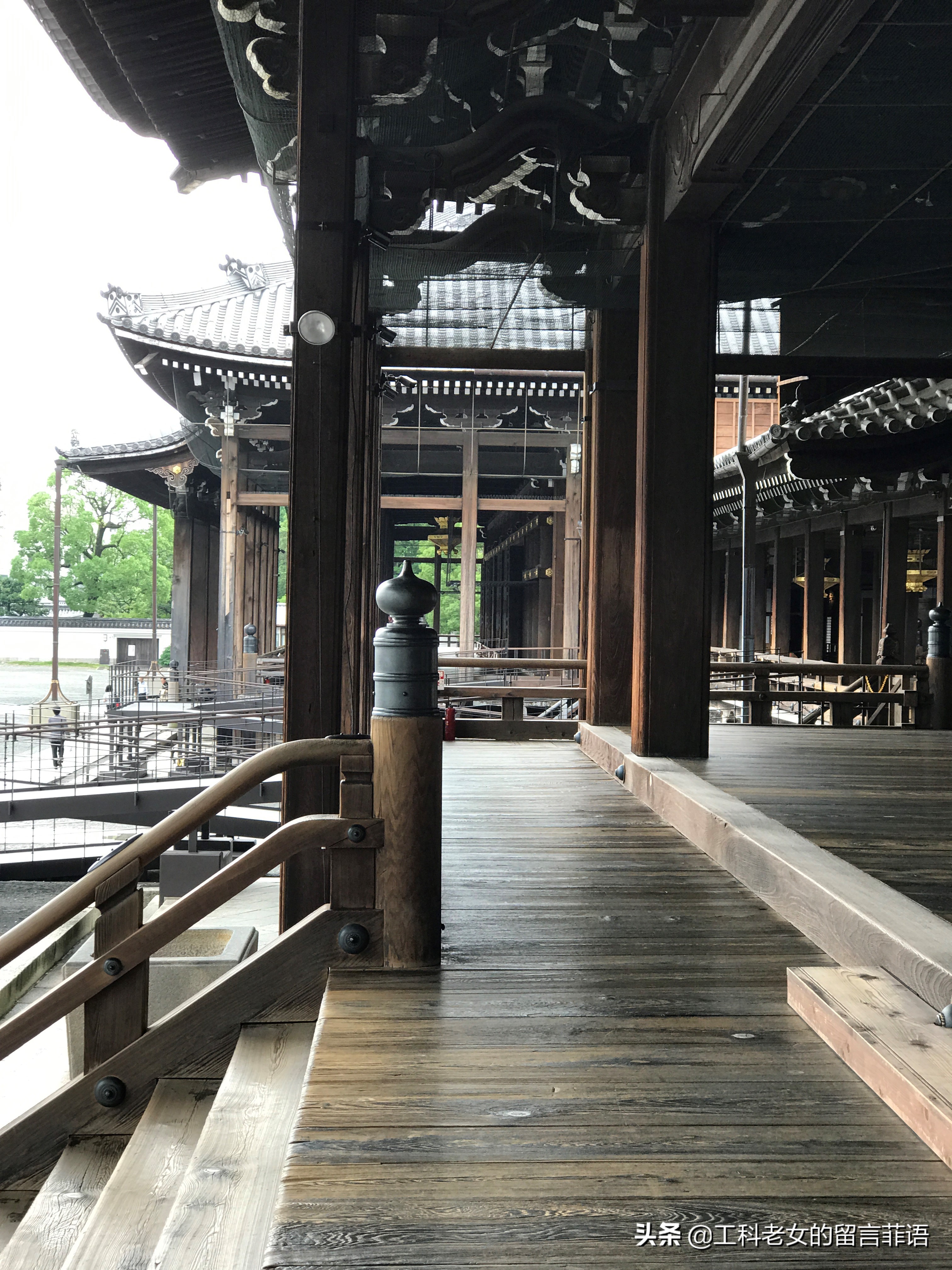 夏天去京都注意哪些事项,盛夏去哪玩