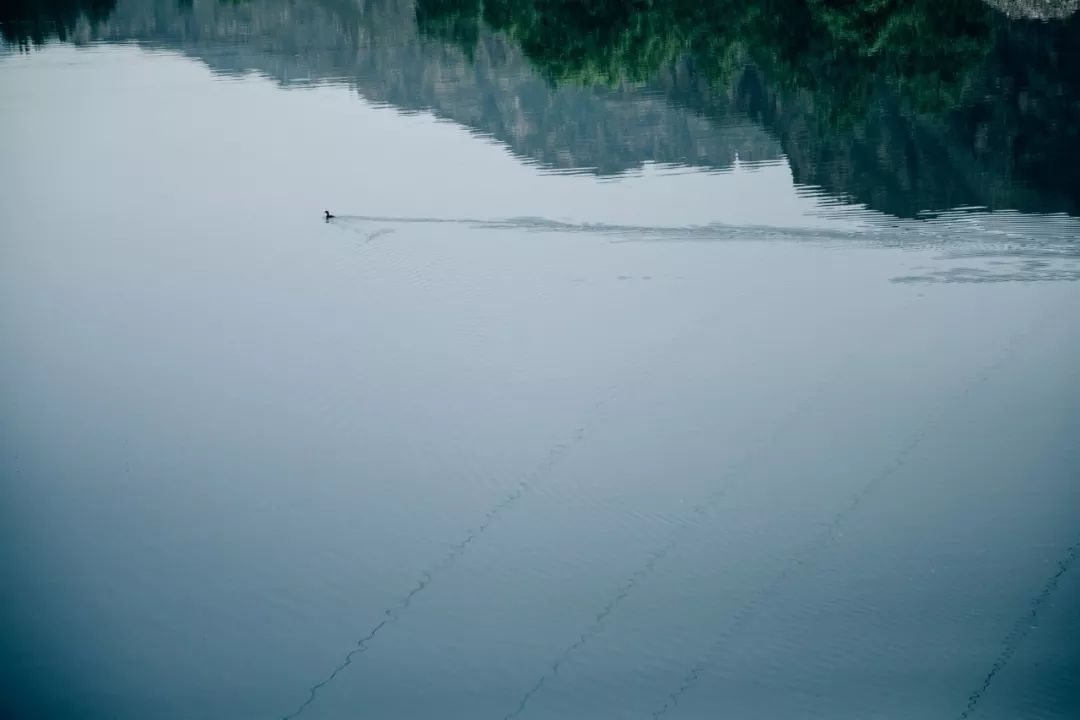 野三坡山水闲居民宿,野三坡民宿网红独院20人