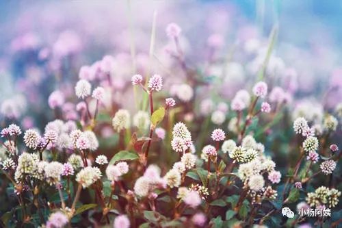 自媒体个人号怎么吸引粉丝,个人公众号前期怎么吸粉