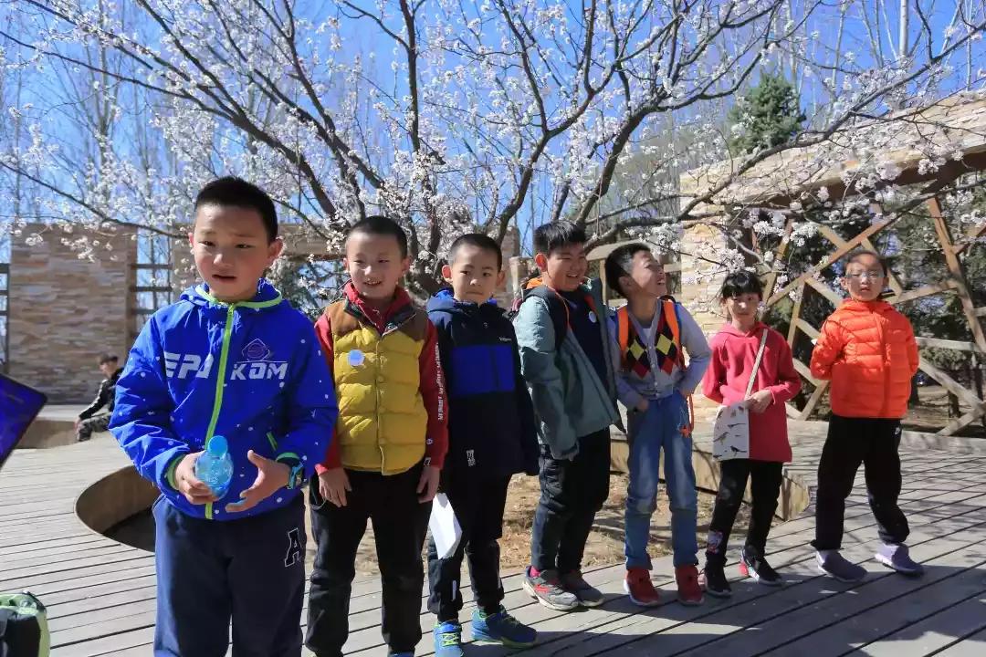 首都师范大学附属云岗小学:追溯北京古风韵遍寻春日俏风光