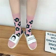 鞋柜怎么放春夏秋冬的鞋 (鞋柜必备的小白鞋)