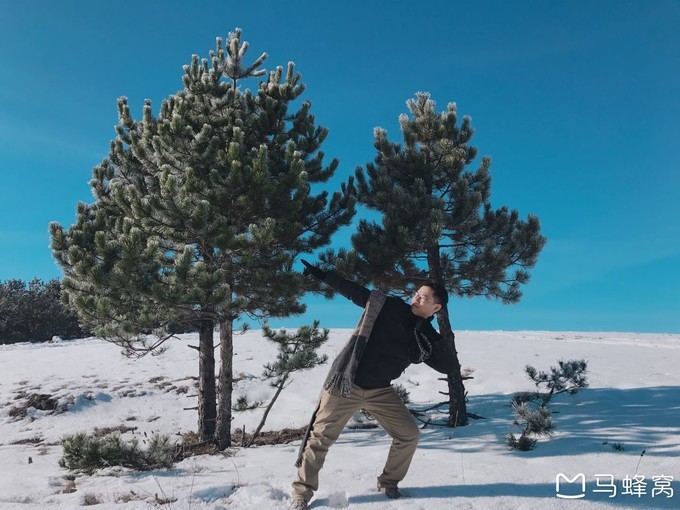 塞尔维亚游记,难忘的欧洲之旅