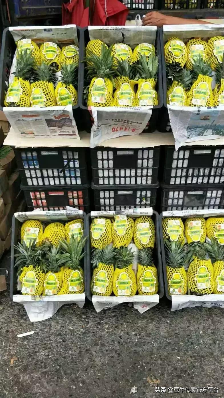 万邦水果价格最新行情,万邦水果行情