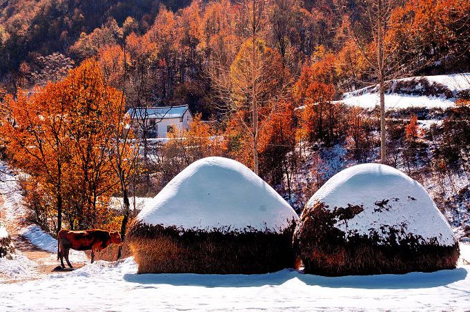 你想象的乡村是什么样的,你梦想的城市是怎样的