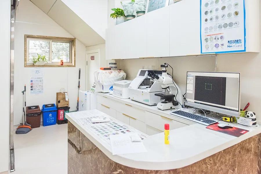 猫狗需要做绝育么,猫狗在家做绝育需准备什么