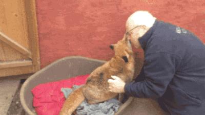 被已婚男欺骗致怀孕一尸两命,女孩儿被骗怀孕最后被杀害