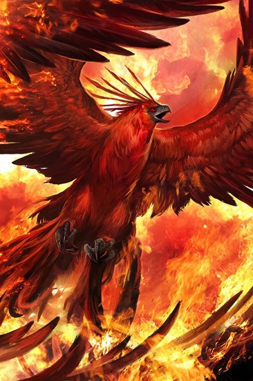 神鸟凤凰是什么来历,百鸟之王凤凰真实身份