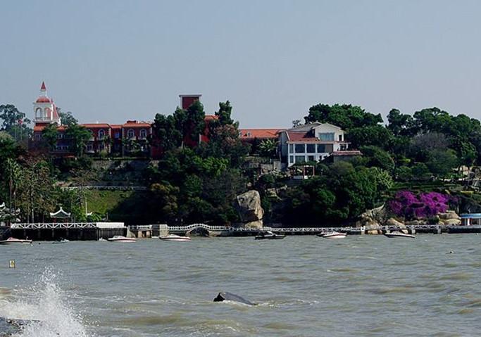 厦门鼓浪屿的真实感受,厦门鼓浪屿怎样