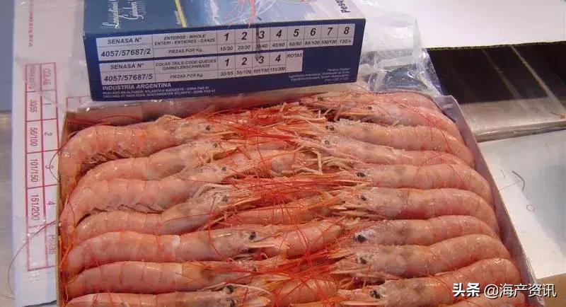 阿根廷红虾新上市,2019阿根廷红虾进口量