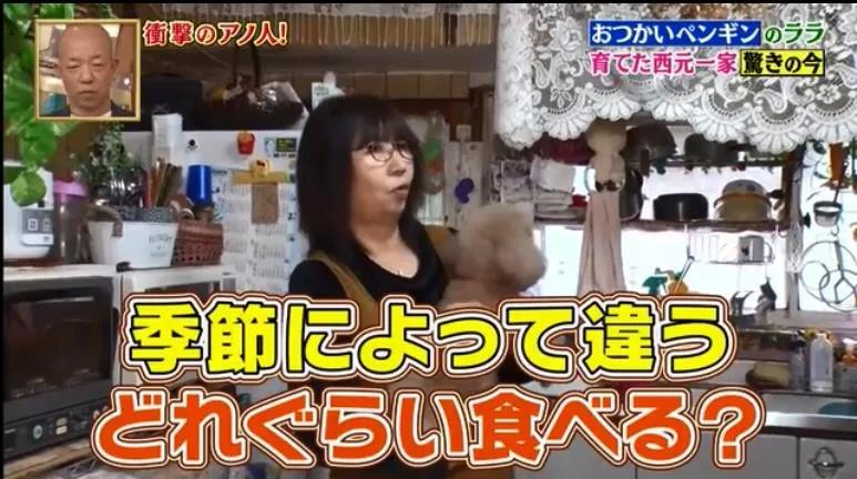 去世的小企鹅,死去的南极企鹅