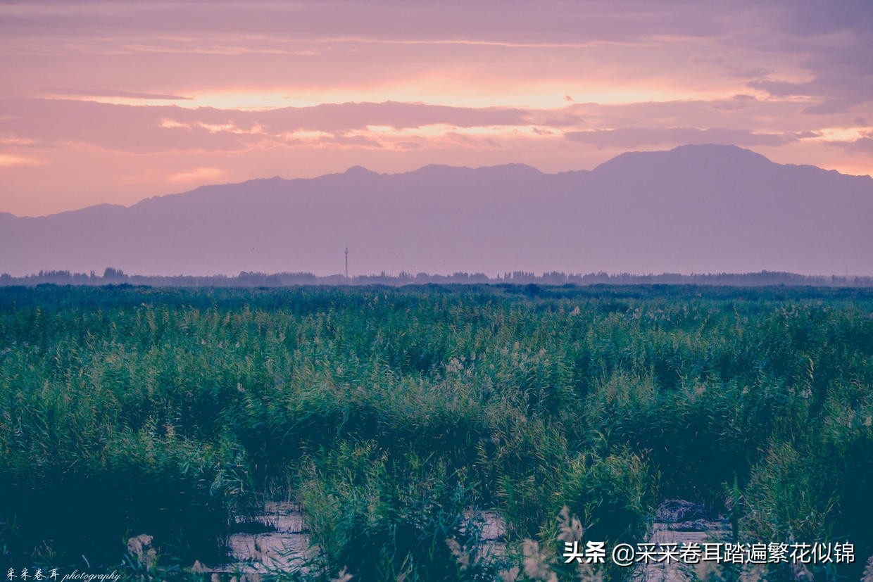 慢游景点,博斯腾湖景点打卡