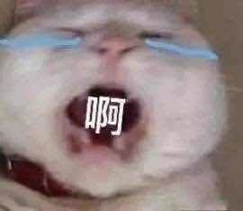 乔欣许魏洲不约而同,乔欣许魏洲人间清醒发言