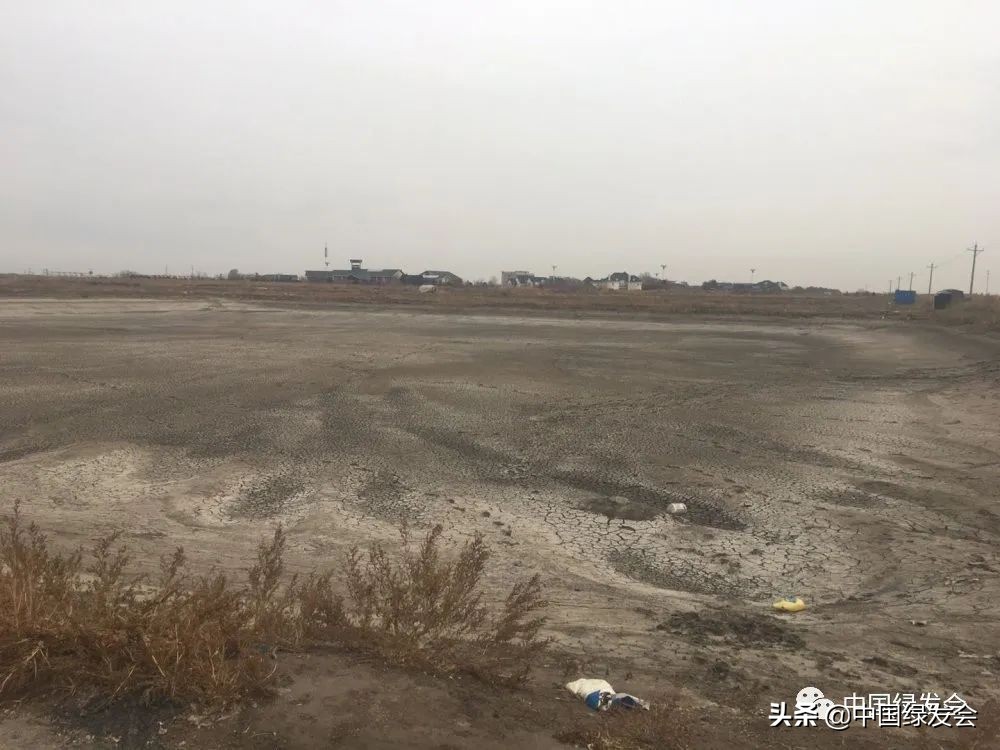 被拆湿地公园,曹妃甸湿地保护区在哪里