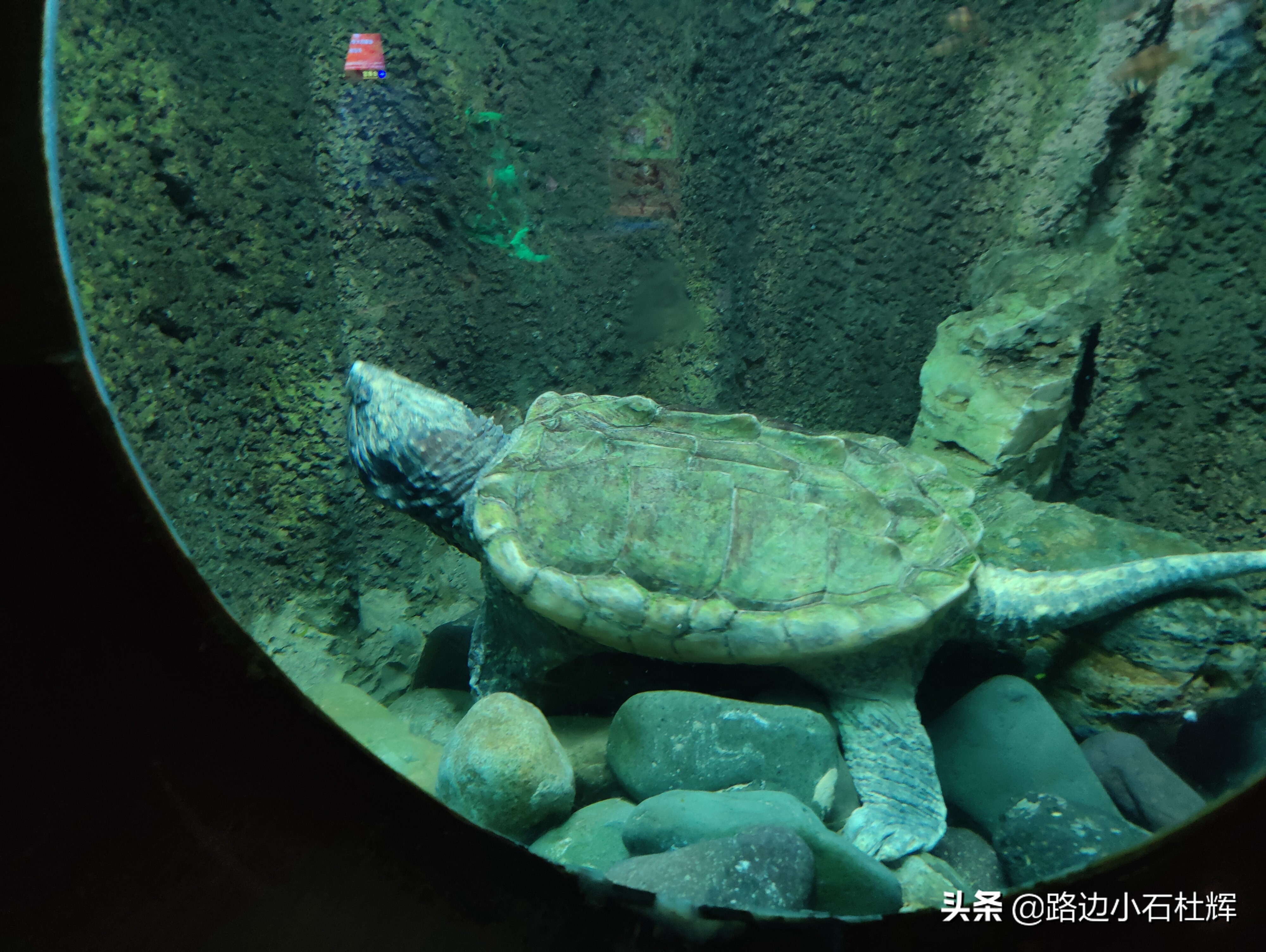 北京海洋馆海底世界游玩攻略,海洋馆北京海底世界游玩路线