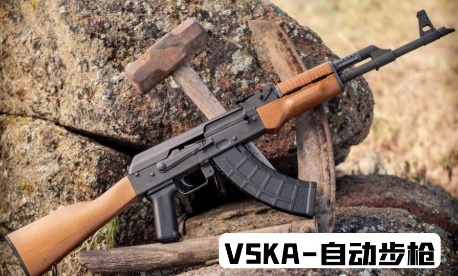 美国1983年的枪械大全,19世纪美国枪械史五