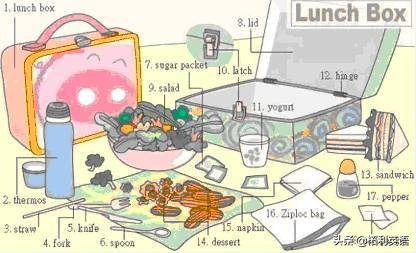 36张图记住英文生活用词,3-6岁儿童必背英语24个单词