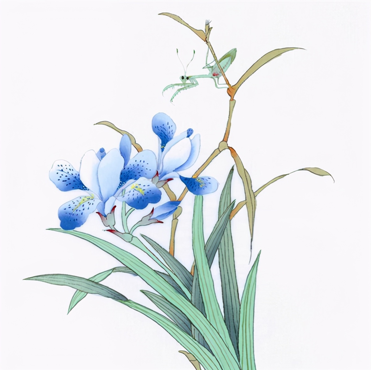 咏兰的诗词大全,咏兰诗句书法作品