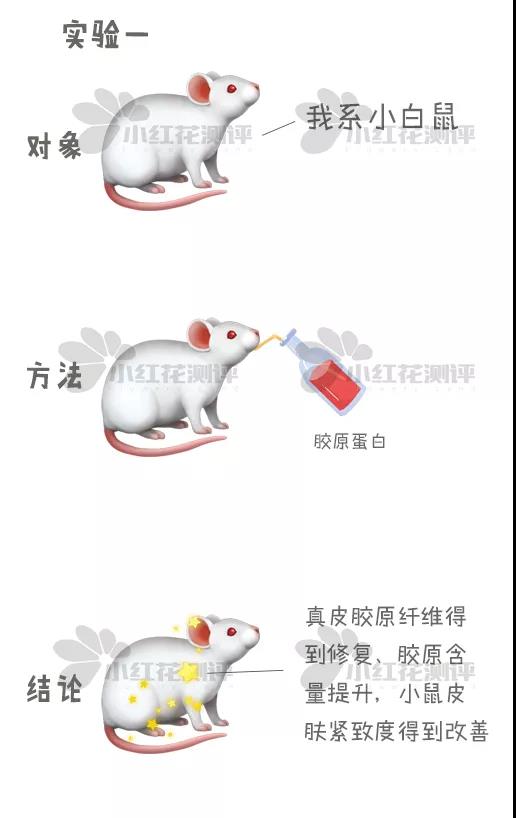 排名第一的胶原蛋白口服液,最火的胶原蛋白口服液