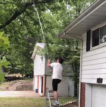 混蛋有什么意思,魂淡是什么梗