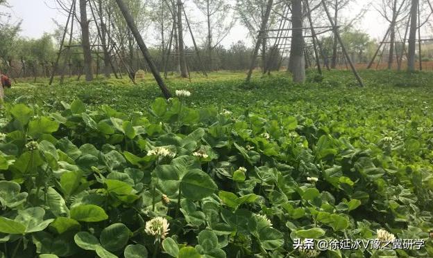 郑州五一近郊游的好地方,不出郑州就能游玩的地方