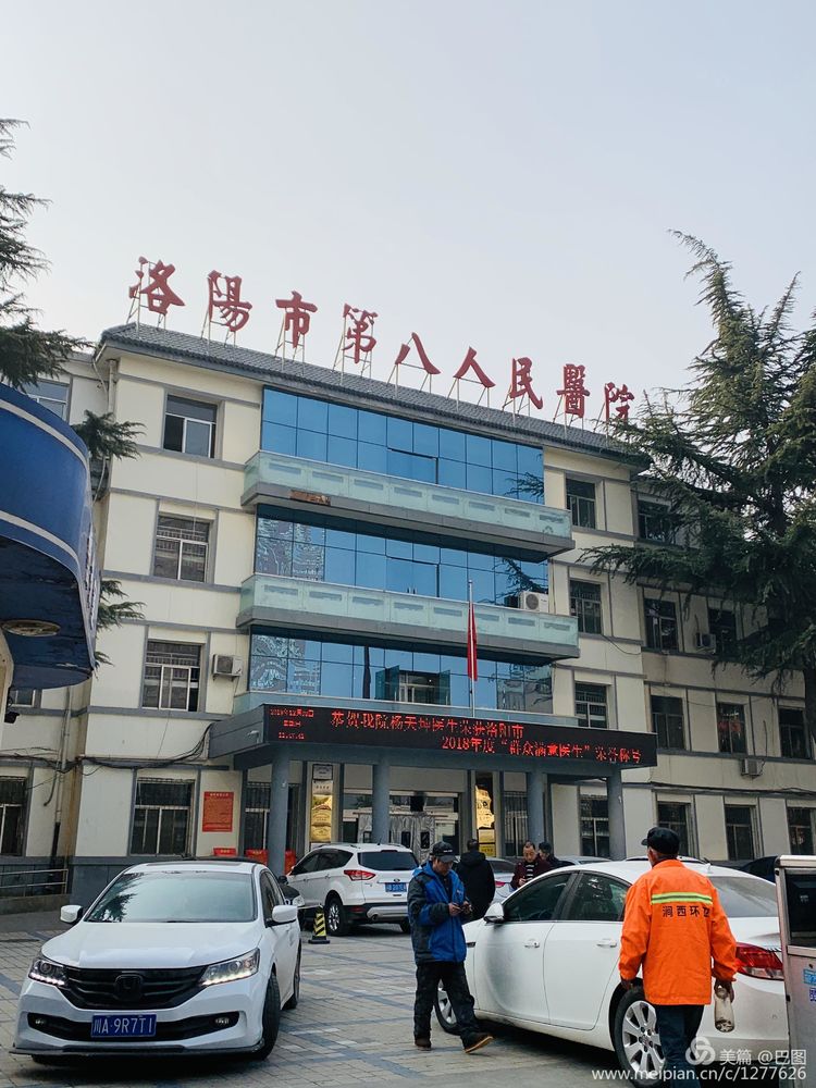 涧西牡丹广场老照片,洛阳牡丹手机拍照