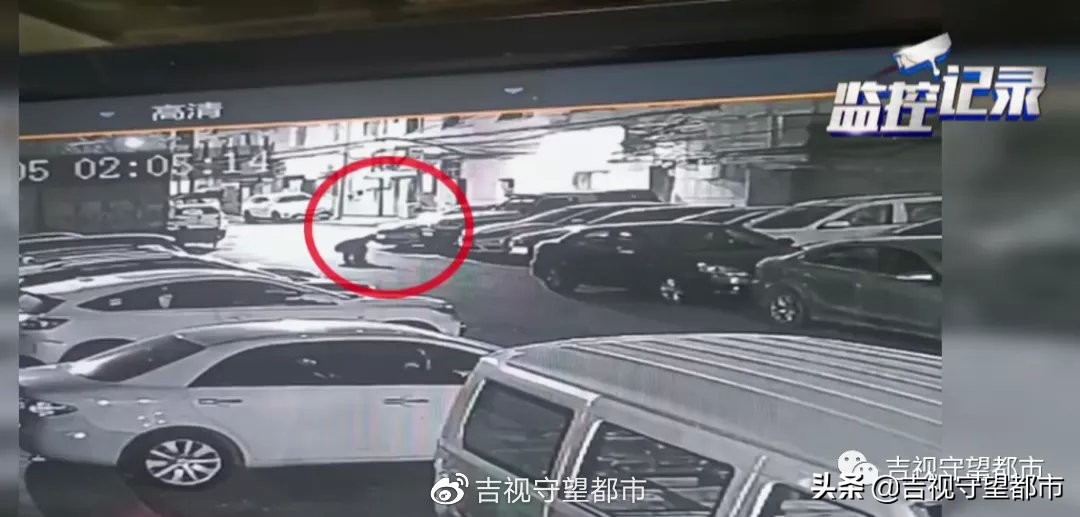 宠物狗路边玩耍被抱走后续,小狗在门口被人抱走了