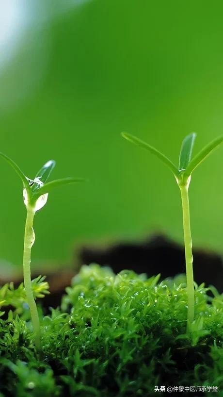 时时悲哭不能自已，只扎了一针就好了