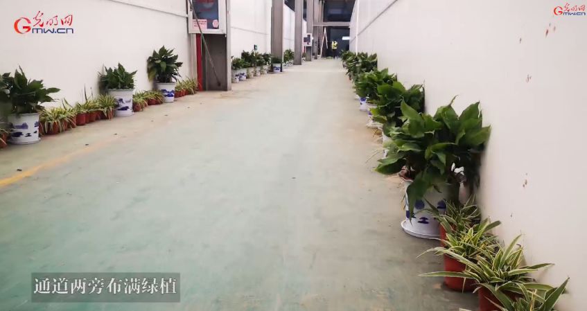 新冠肺炎天价治疗费曝光,肺炎期间天价账单