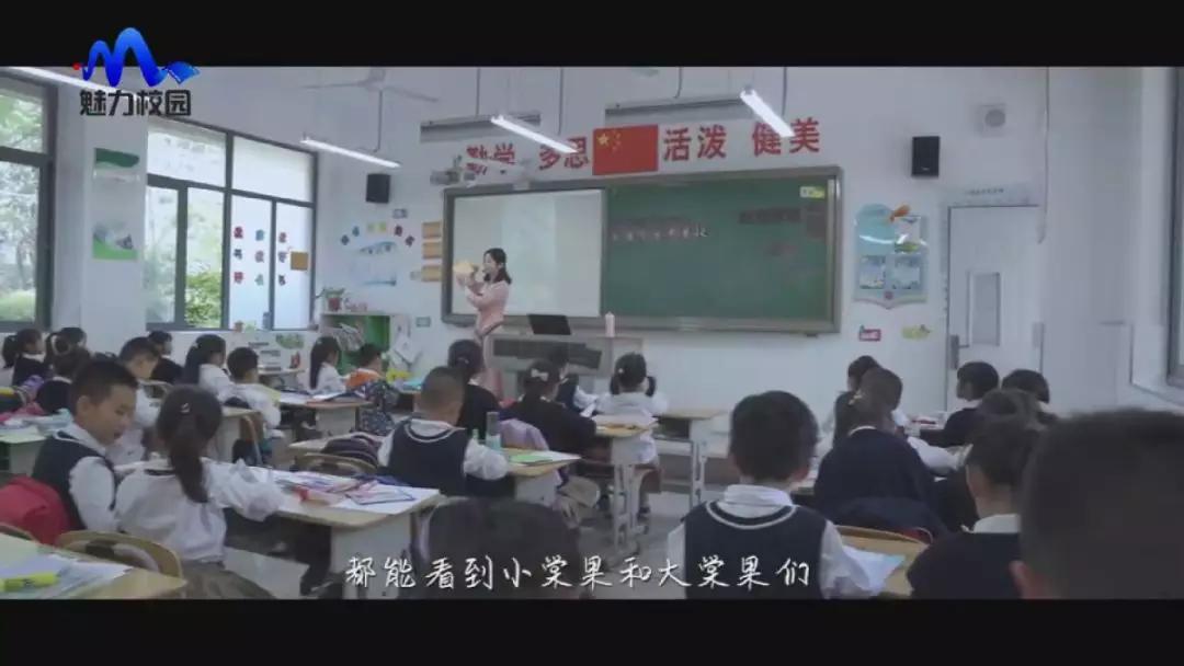专题片|《涂亮孩子生命的底色》——南京市北京东路小学棠城分校