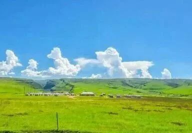 杨林老师照片,杨林老师钢琴