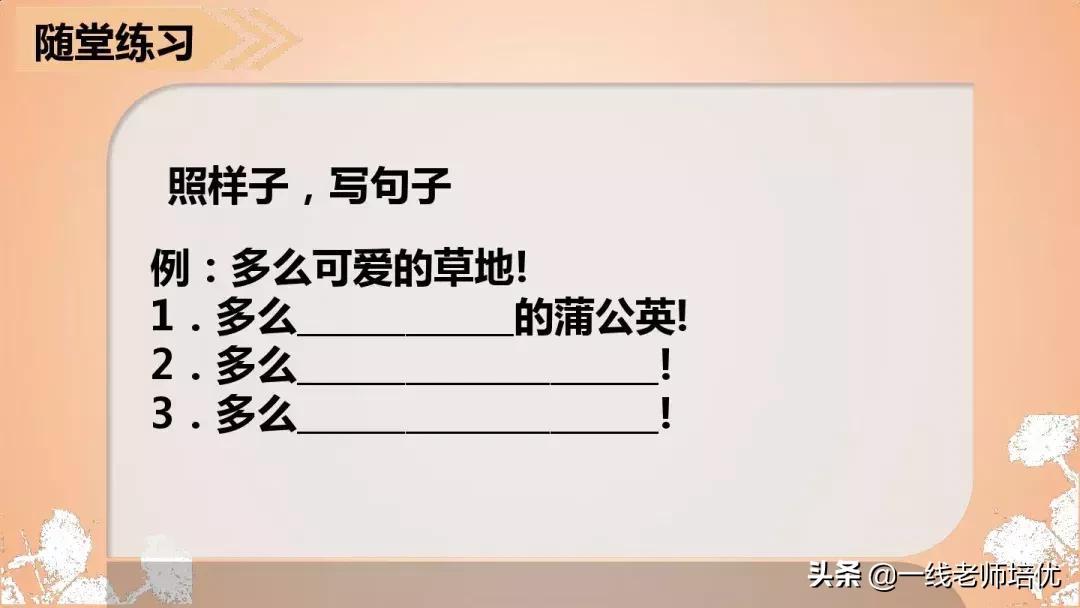 三年级语文金色的草地展现了什么,语文三年级上金色的草地课文讲解