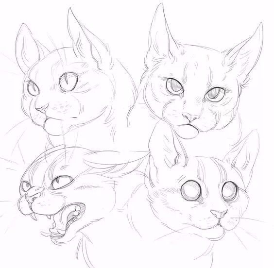 简笔画人物教程大全零基础成人,1000个适合零基础的简笔画教程