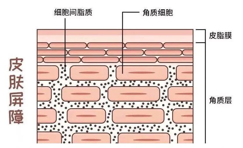 李佳琦没骗人!“国货之光”拯救烂脸,销量21万!乔欣也打call?