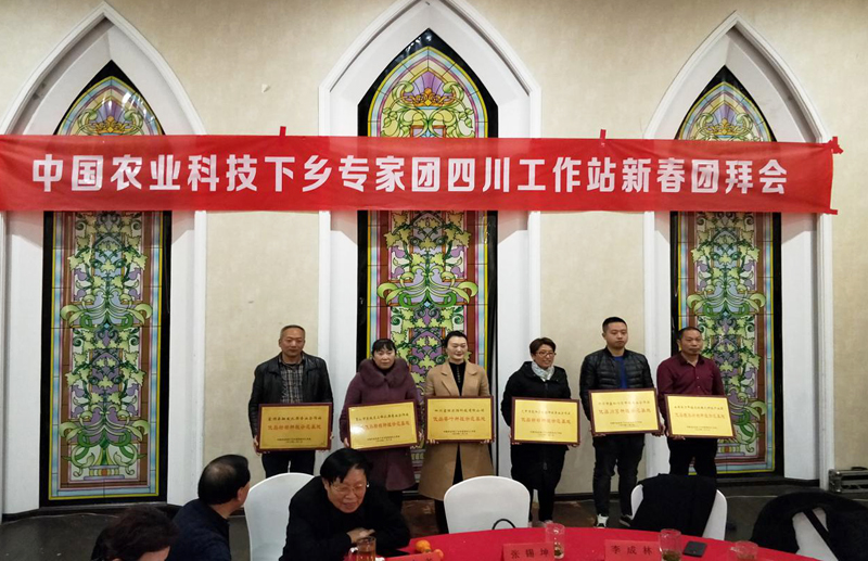 中国农业科技大学下乡专家团,百名科技专家下乡活动