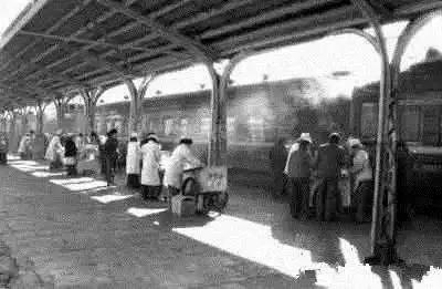 三趟快车|不为人知的“赶车人”(二)