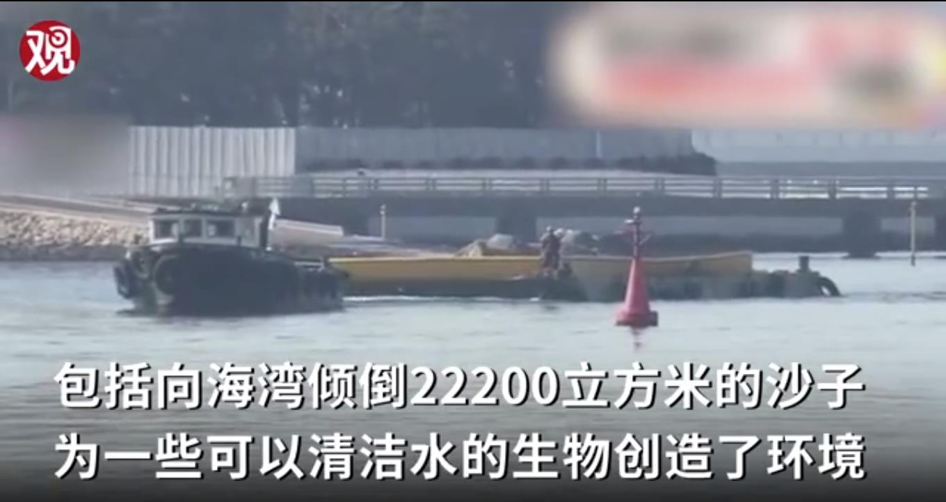 东京奥运会大肠杆菌超标,东京湾的海水检测出大肠杆菌超标