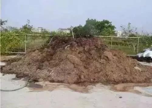 农友：我家有“粪”不用花钱买有机肥？对不起，你的灾难要来了