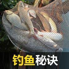 海钓竿线组组装视频,海钓矶竿线组制作方法