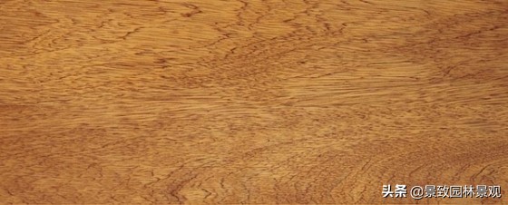 木纹最好看的木材图片,各种木材纹理图片与名称