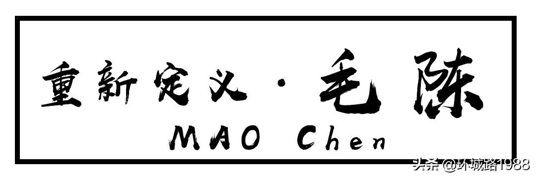 未来可期！向你展现不一样的毛陈