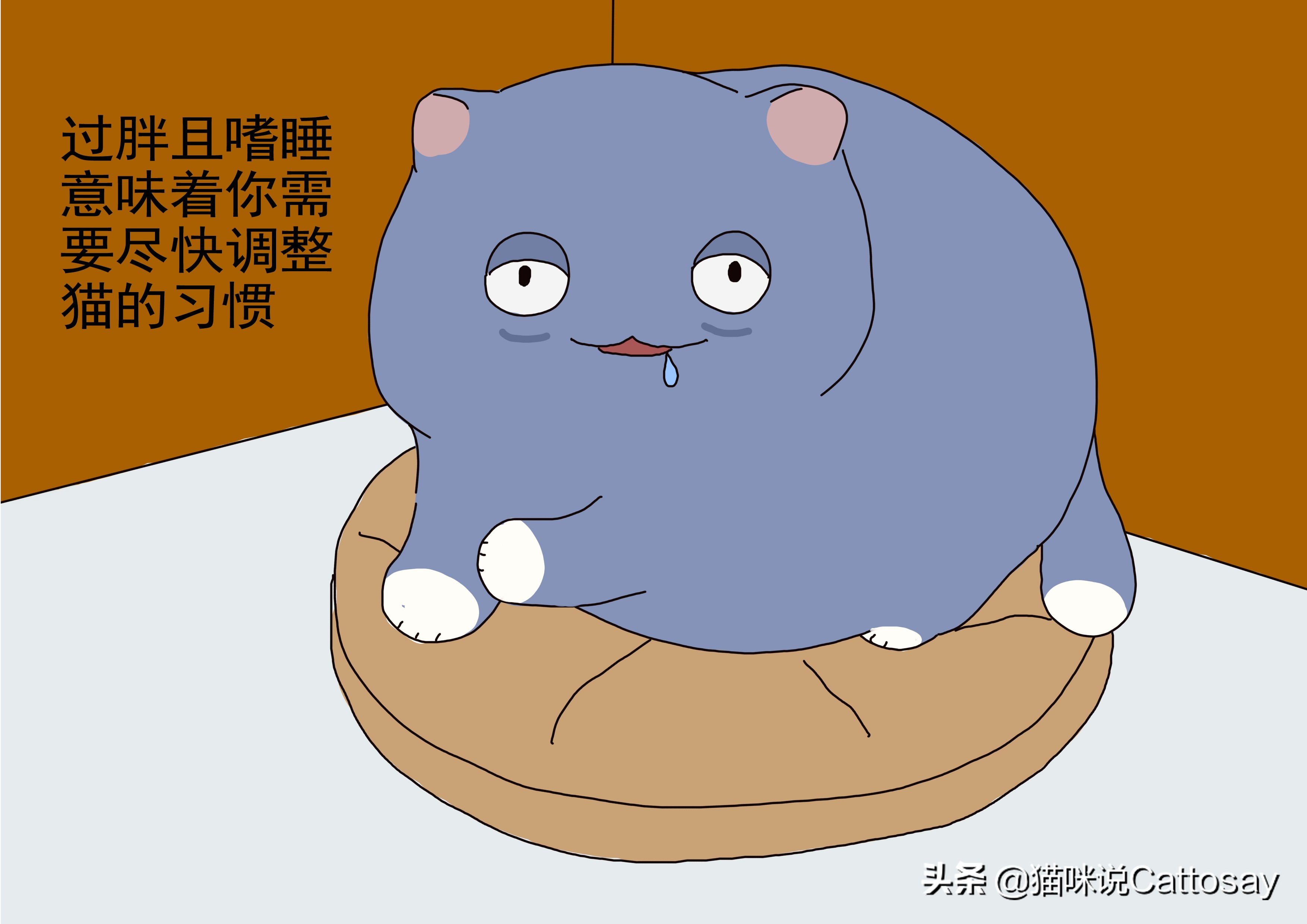 帮助小胖猫减肥的三个步骤,胖猫减肥最有效的方法