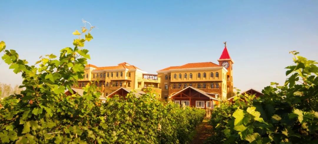 五一威海旅游最新攻略,威海五一旅行攻略