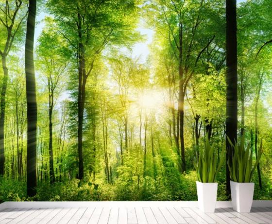 失眠脱发和雄激素脱发有区别吗,失眠脱发最佳治疗方法