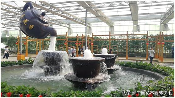 行业盛会视频,行业精英齐聚展会