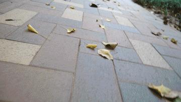 飞宇蝎子稳定器和大疆rsc2对比,飞宇的稳定器怎么样