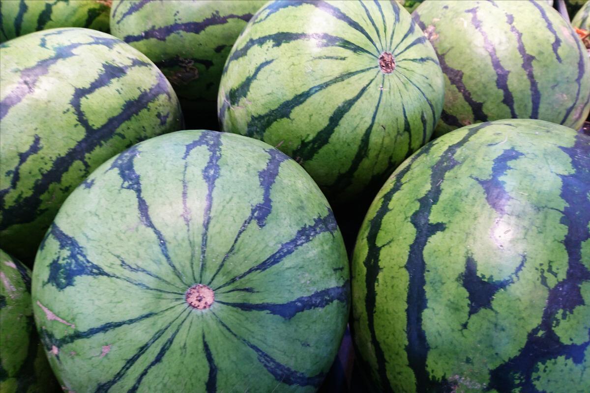 买西瓜认准这四点保证香甜多汁,买西瓜怎么挑选好瓜