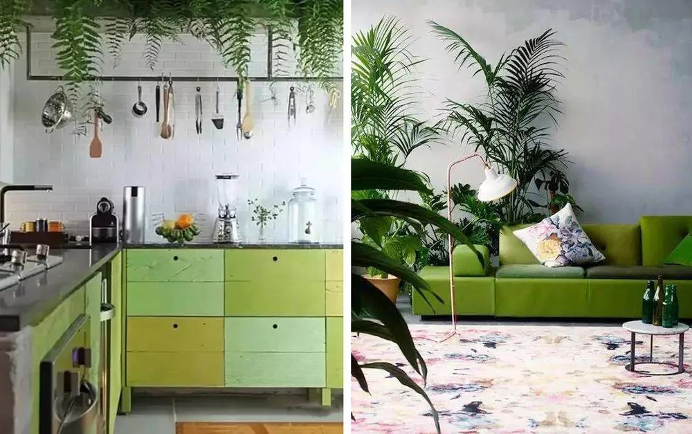 夏日“绿”调丨听说这种色系的办公室，让人不想下班