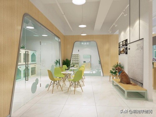 网上宠物店挣钱吗,宠物店售卖区挣钱么