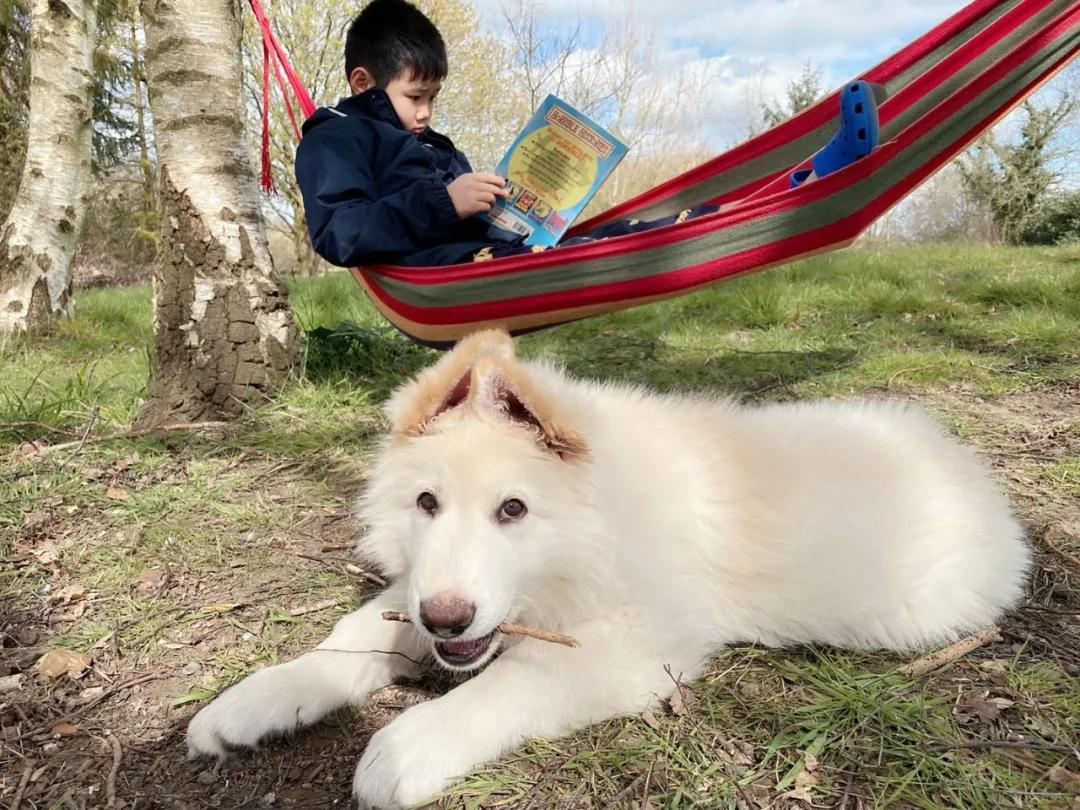 英国疫情防控用品,英国抗疫日记完整版